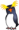 Snares Island Technology Penguin